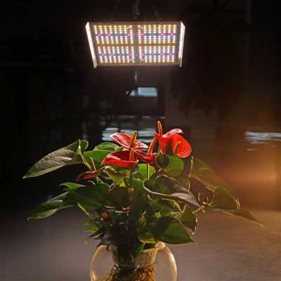 LED (دیود ساطع کننده نور) نور گیاه